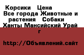 Корсики › Цена ­ 15 000 - Все города Животные и растения » Собаки   . Ханты-Мансийский,Урай г.